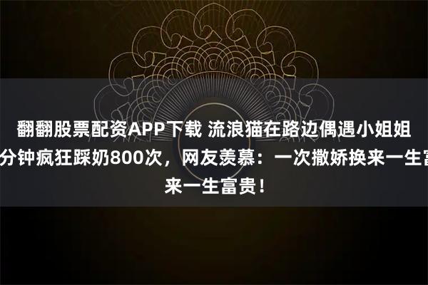 翻翻股票配资APP下载 流浪猫在路边偶遇小姐姐，一分钟疯狂踩奶800次，网友羡慕：一次撒娇换来一生富贵！