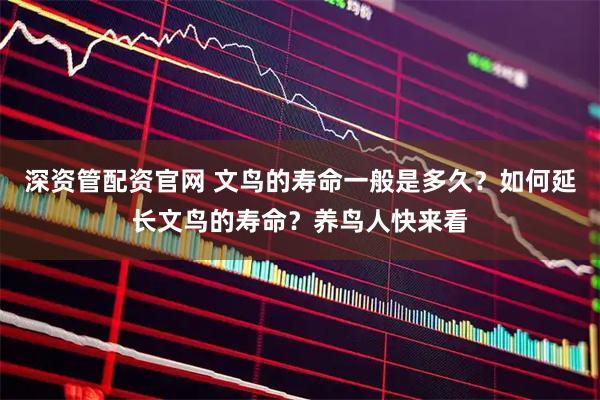深资管配资官网 文鸟的寿命一般是多久？如何延长文鸟的寿命？养鸟人快来看