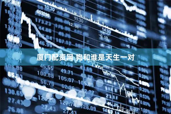 厦门配资网 狗和谁是天生一对