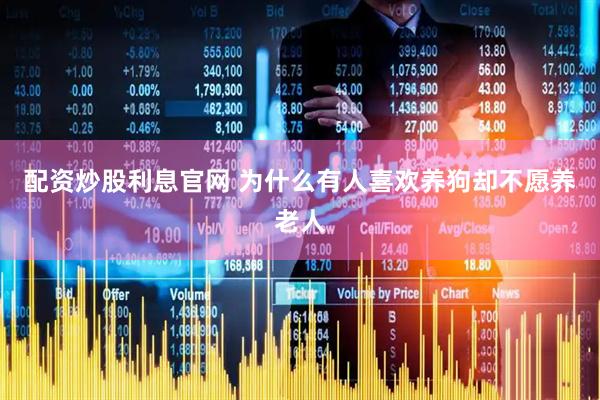 配资炒股利息官网 为什么有人喜欢养狗却不愿养老人