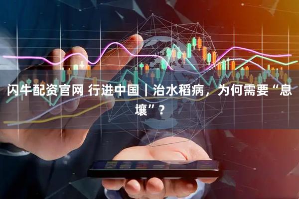 闪牛配资官网 行进中国｜治水稻病，为何需要“息壤”？