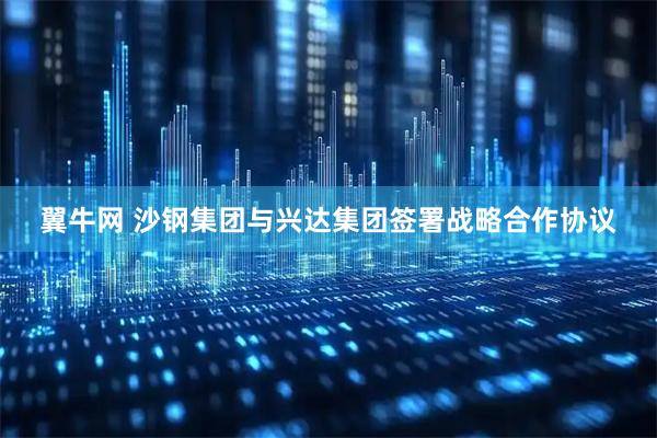 翼牛网 沙钢集团与兴达集团签署战略合作协议
