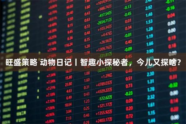 旺盛策略 动物日记丨智趣小探秘者，今儿又探啥？